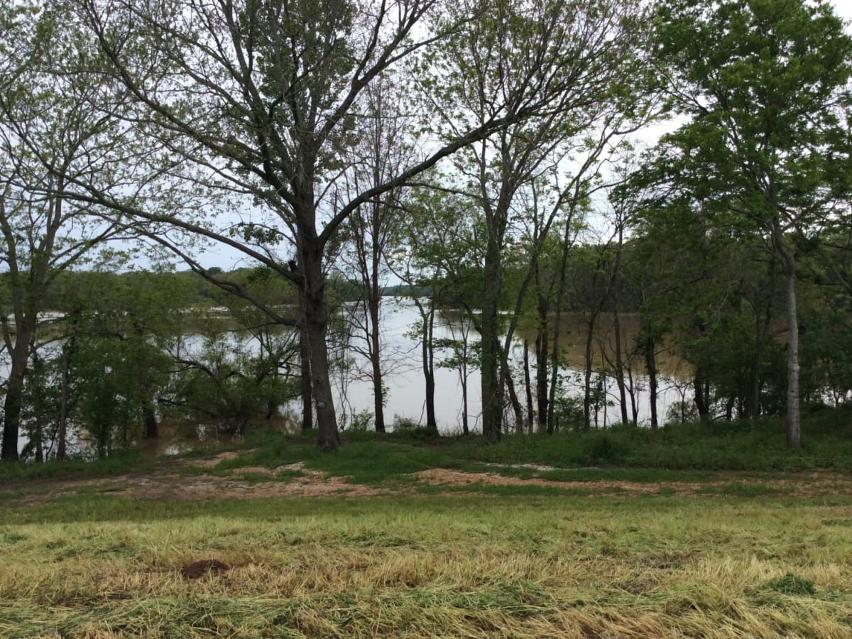Red River Levee Trail trail photo