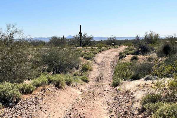 Reserve Bank Mine Trail