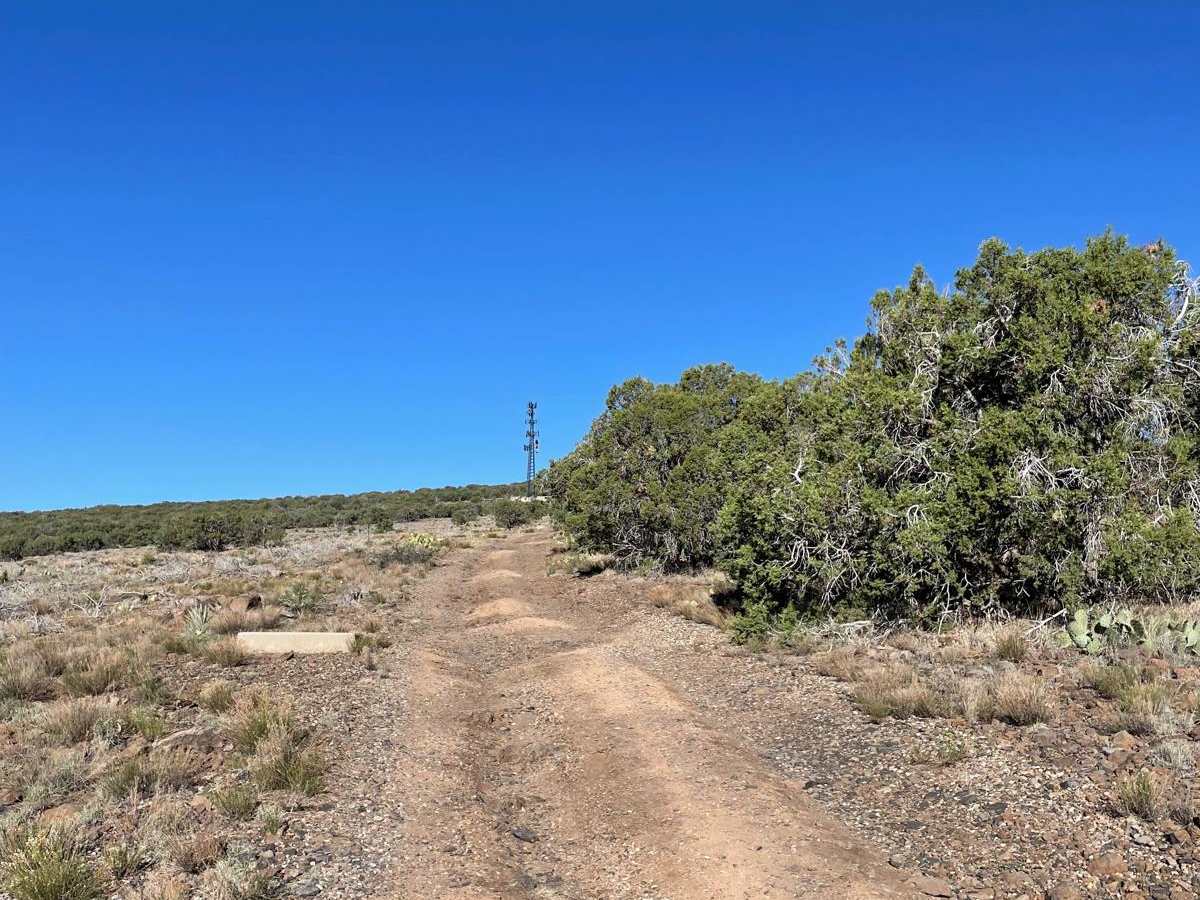 Cell Tower Side Road photo 4
