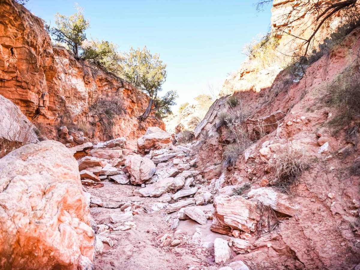 Bergflow Section 1 photo 2