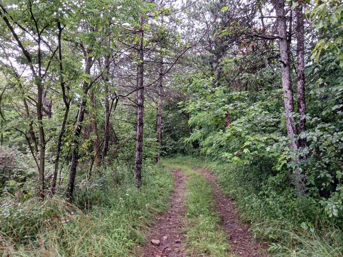 Trail 4G - Rock Run Recreation Area photo 3