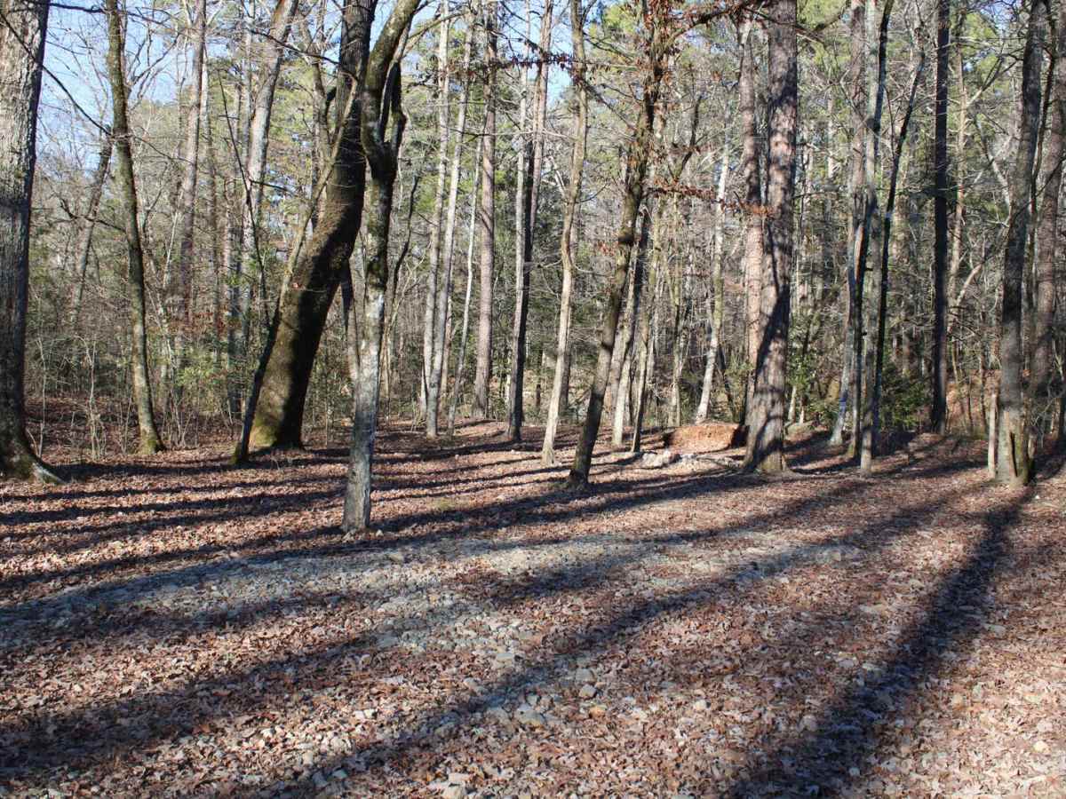 Pipe Spring photo 5
