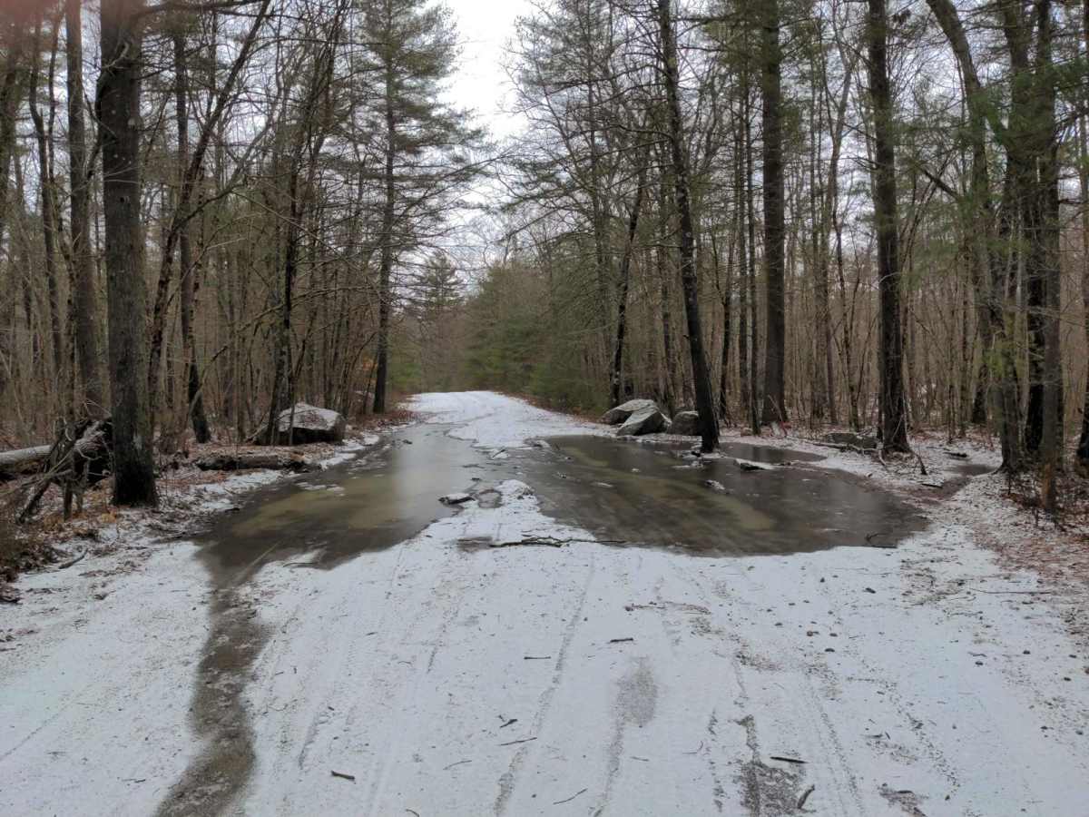 Center Trail photo 6