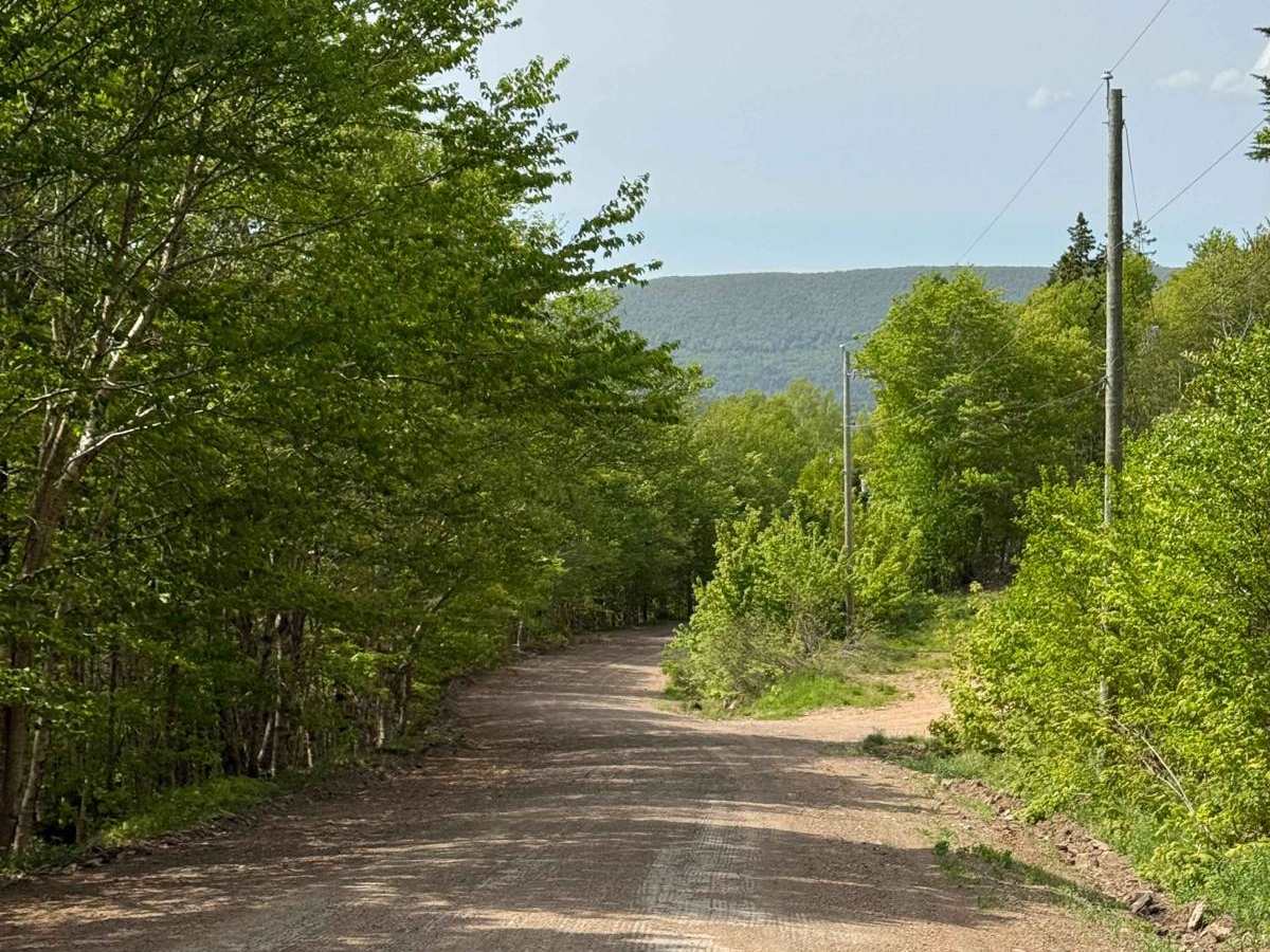 Fielding Road trail photo