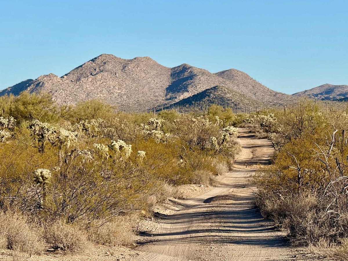 M0785 trail photo