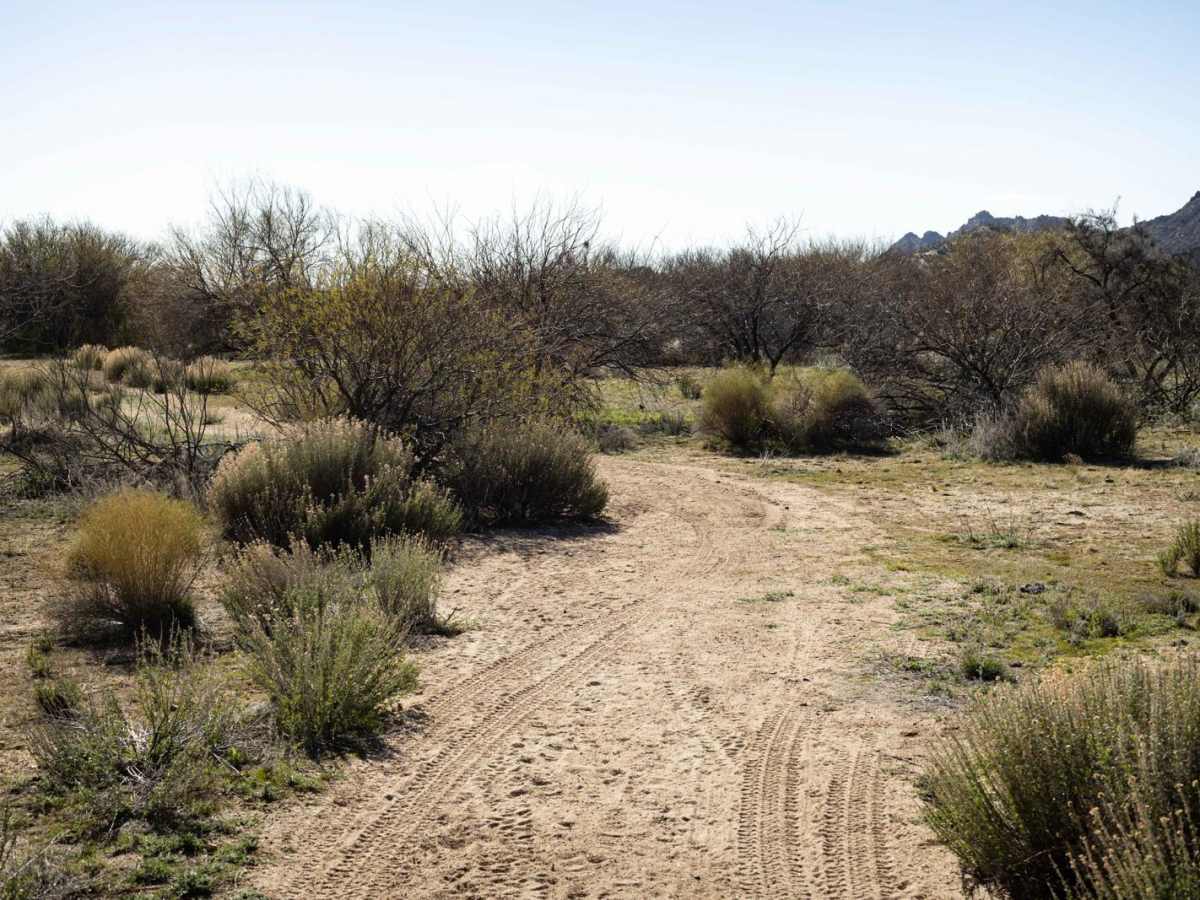 Date Creek Foothill trail photo