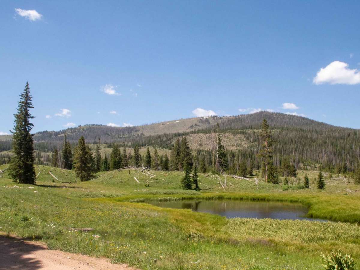Mill Creek photo 2