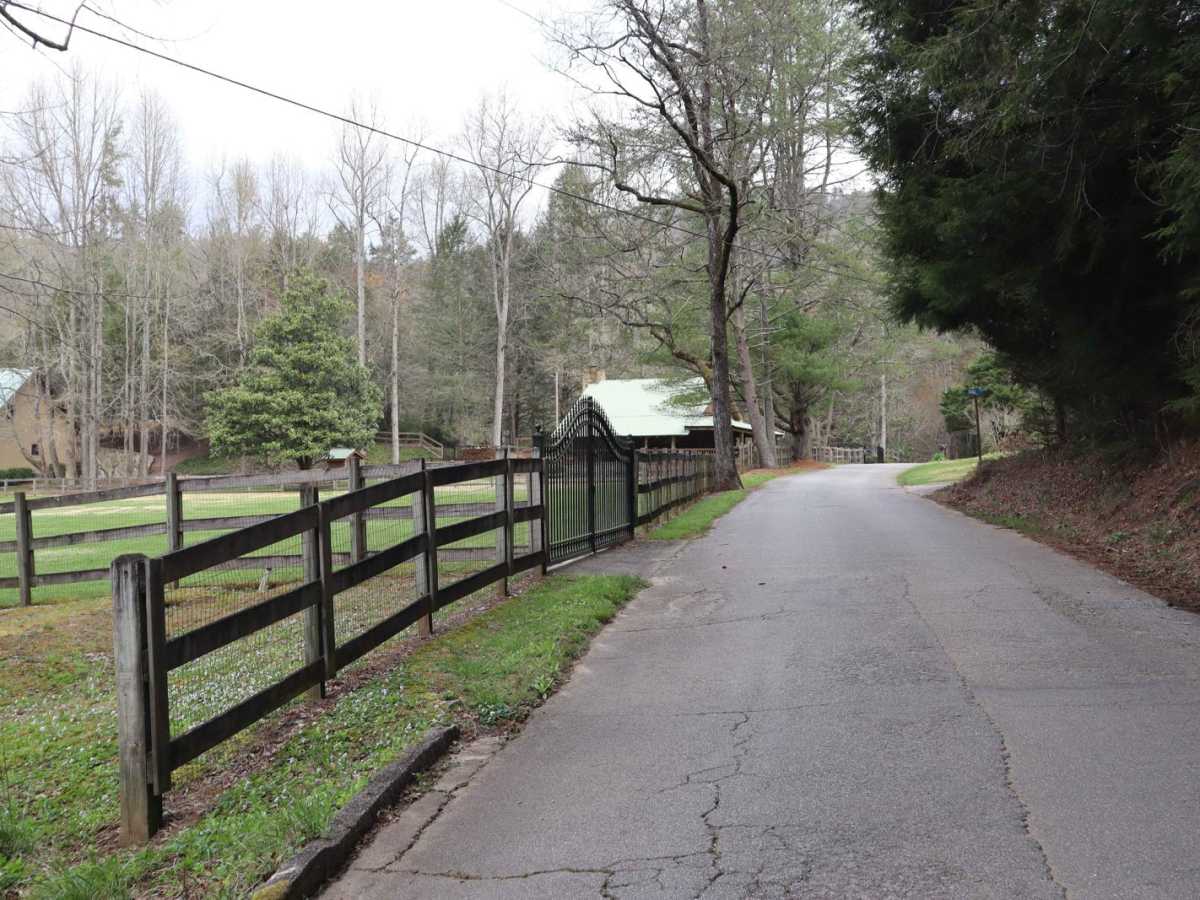 Dicks Creek photo 3