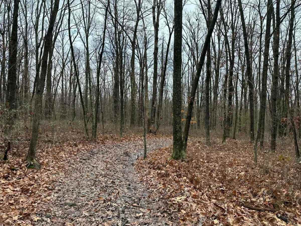 ATV Trail Ho Bot Highway photo 2
