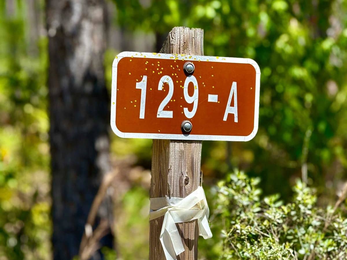 Owl Creek 129-A trail photo