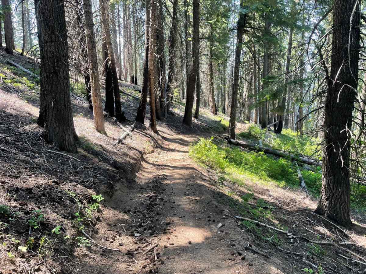 Grass Mountain ATV photo 4