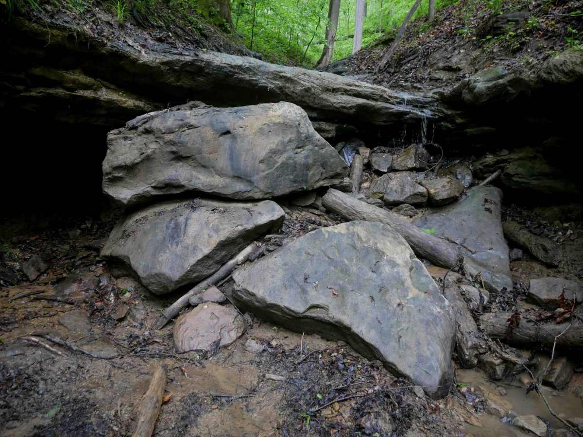 IB 95 trail photo