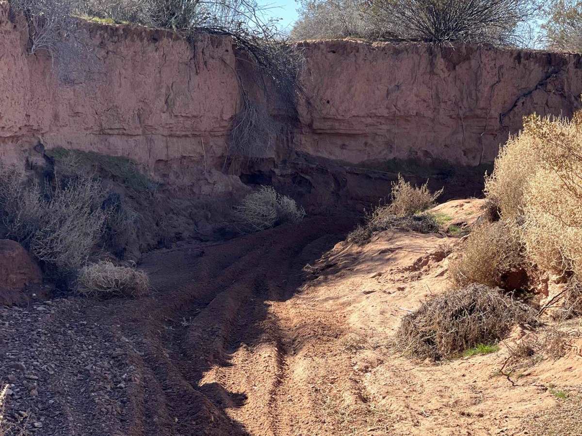 1988 ATV trail photo