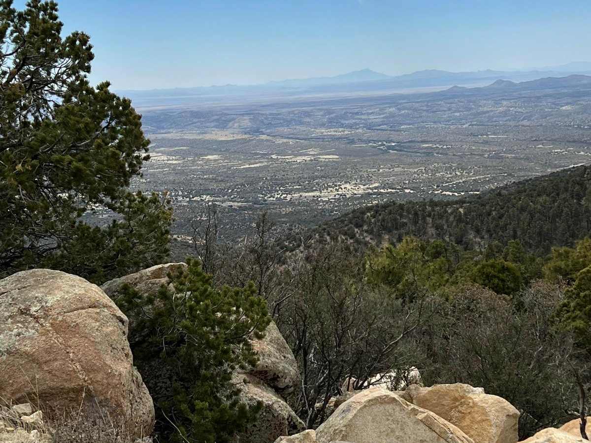 FS 836 Jacks Peak Road trail photo