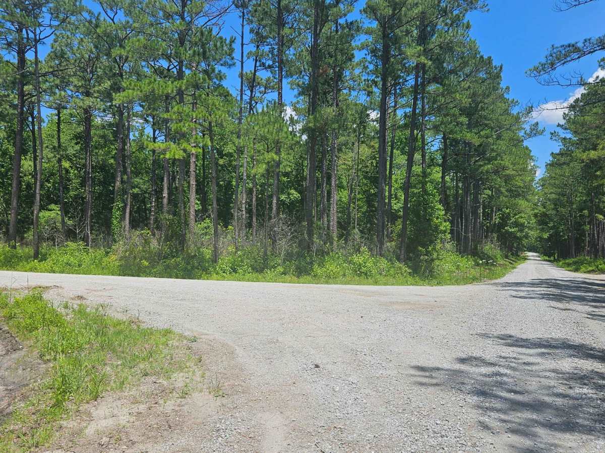 Great Lake Road (126) photo 3