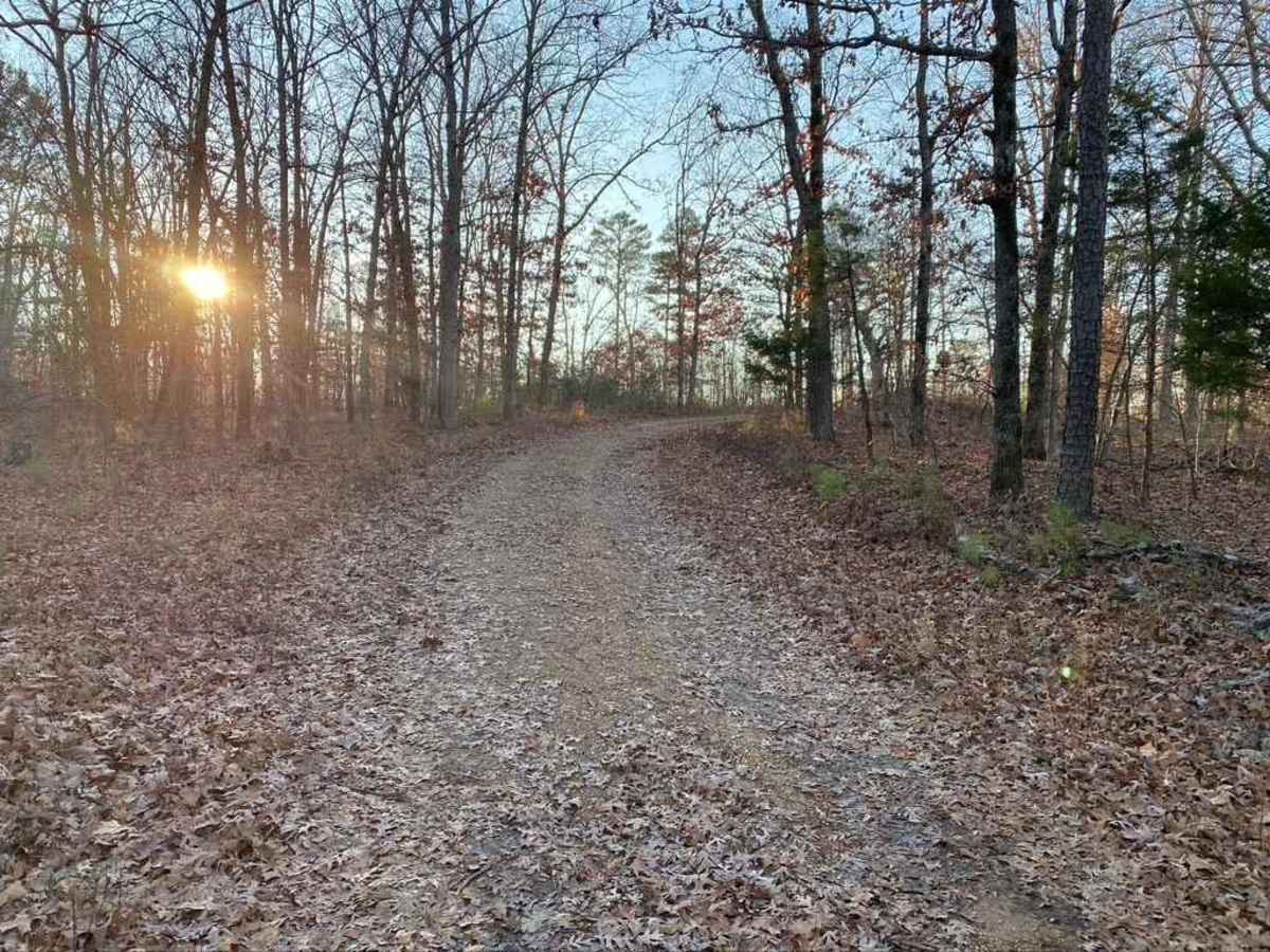 Dogtrot Hollow FSR 2134 photo 2