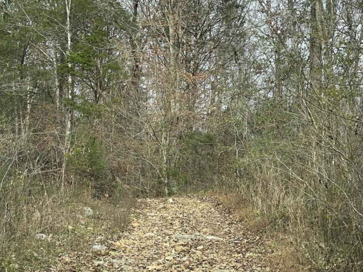 Upper Ridge Trail photo 2
