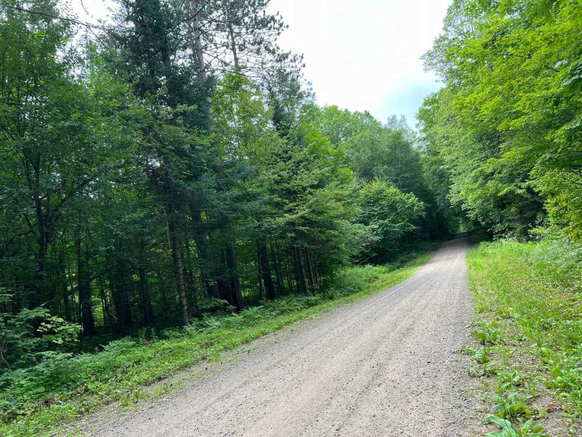 Trestle Road - FS 2696 trail photo