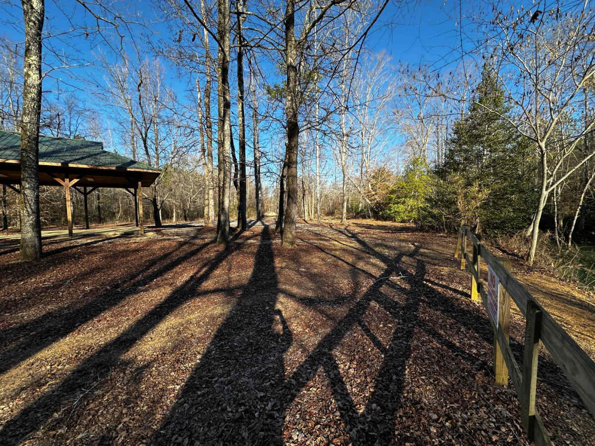 Pavilion/Cell Tower Trail photo 4