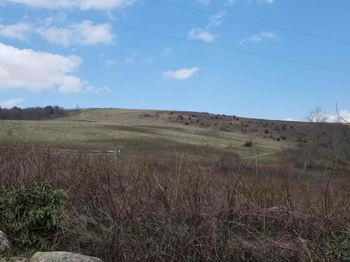 Max Patch Road trail photo