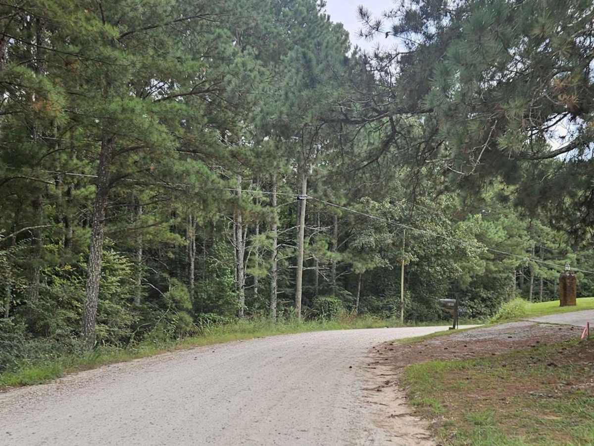 Cold Springs Road - FS 1245 photo 2