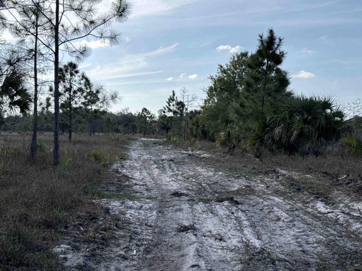 Kirkland Hammock Trail photo 6