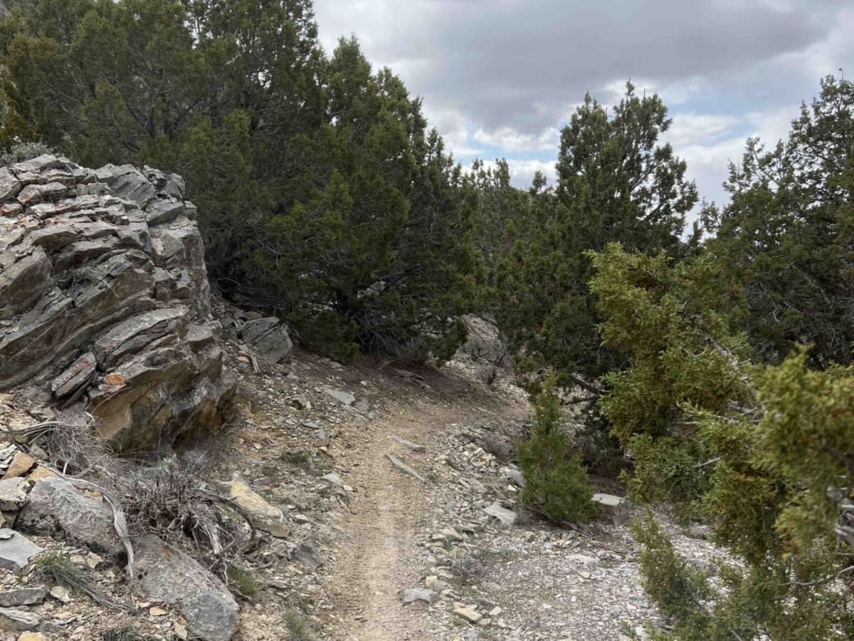 Rib Cage Canyon photo 3