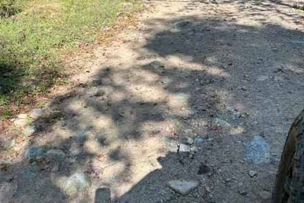 Picketville Road