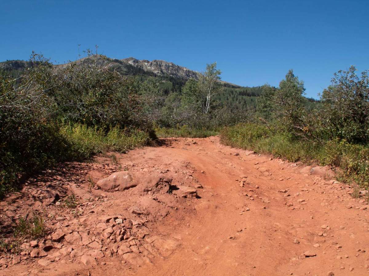 Foundation Loop (FR 80257-A) photo 5