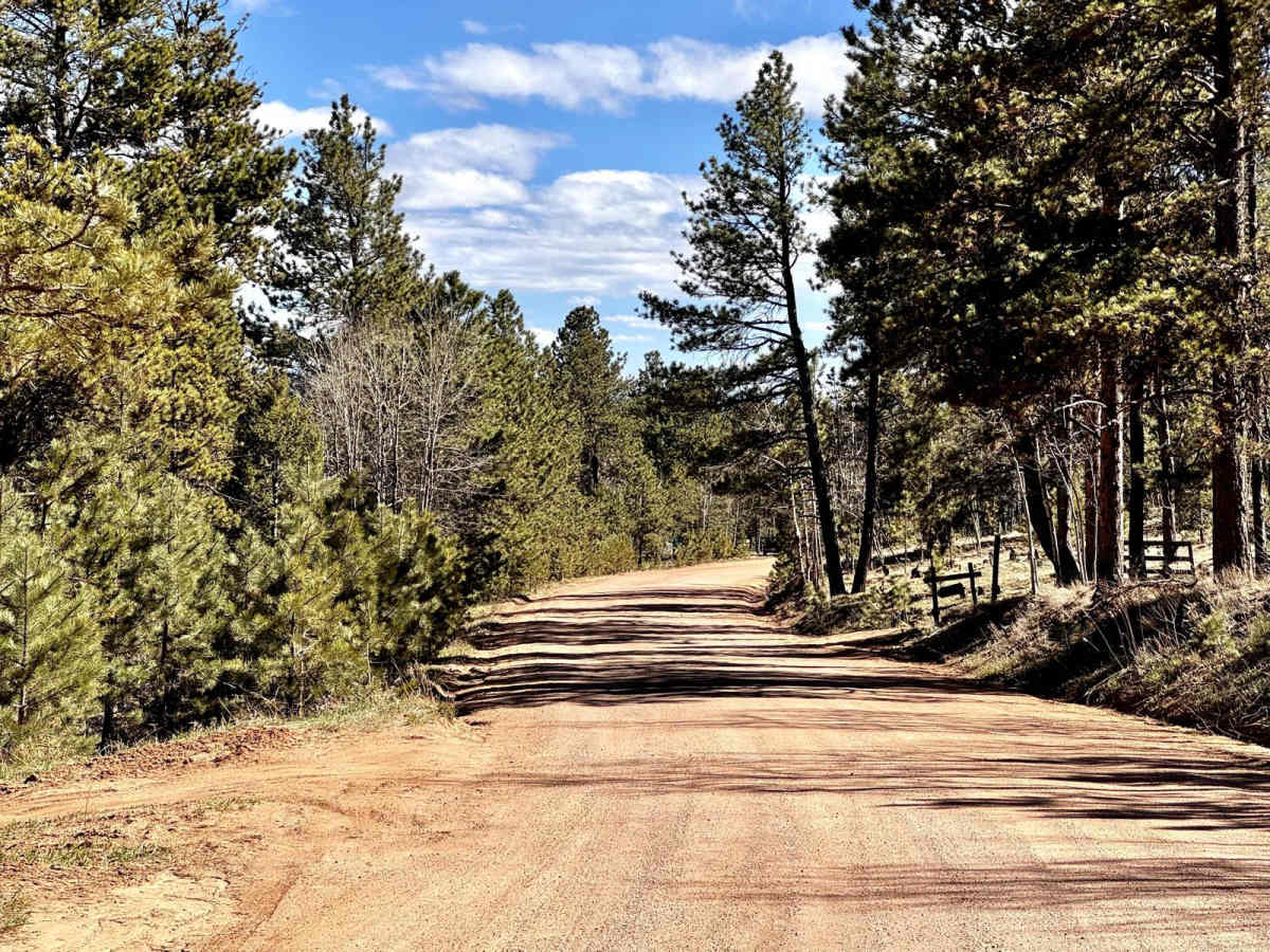 Wildhorn Road trail photo