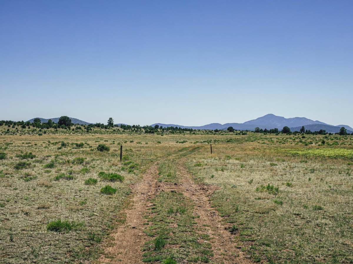 Pasture Mash photo 6