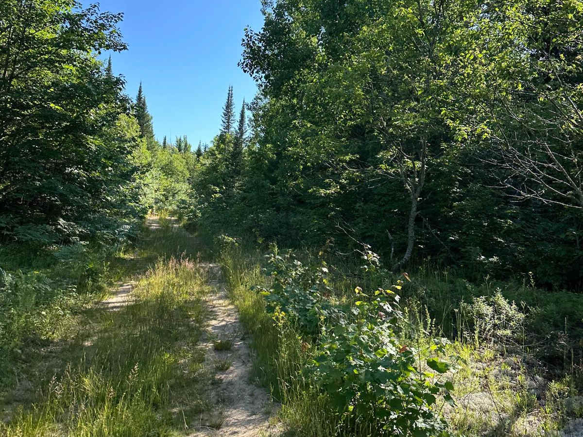 Barker Trail photo 6