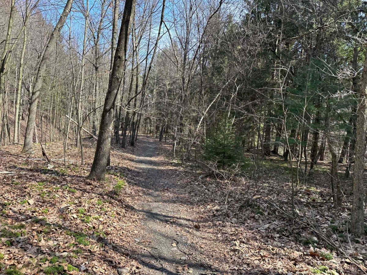 Ashland 104 photo 2