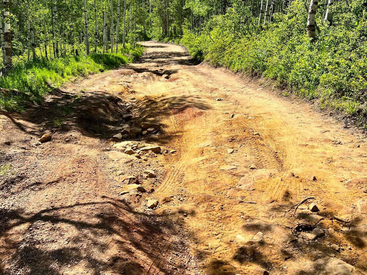 Mud Creek Road - 70150 photo 5