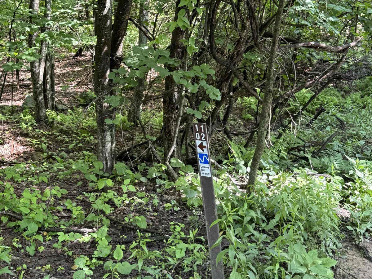 Connector trail photo
