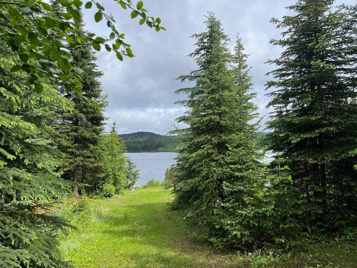 Jamieson Creek Road to Allan Lake trail photo