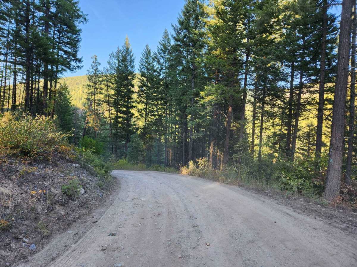Solomon Mountain photo 2