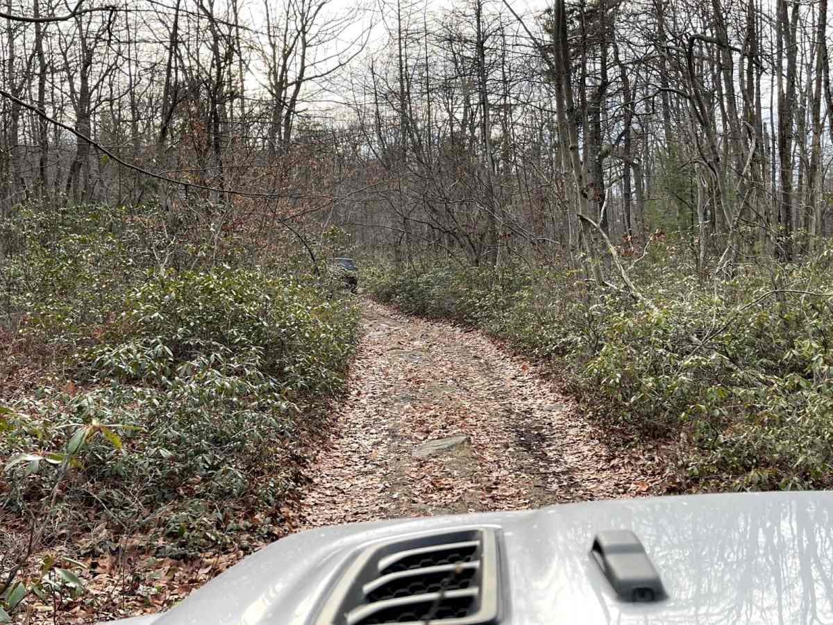 Henstep Valley Trail photo 5