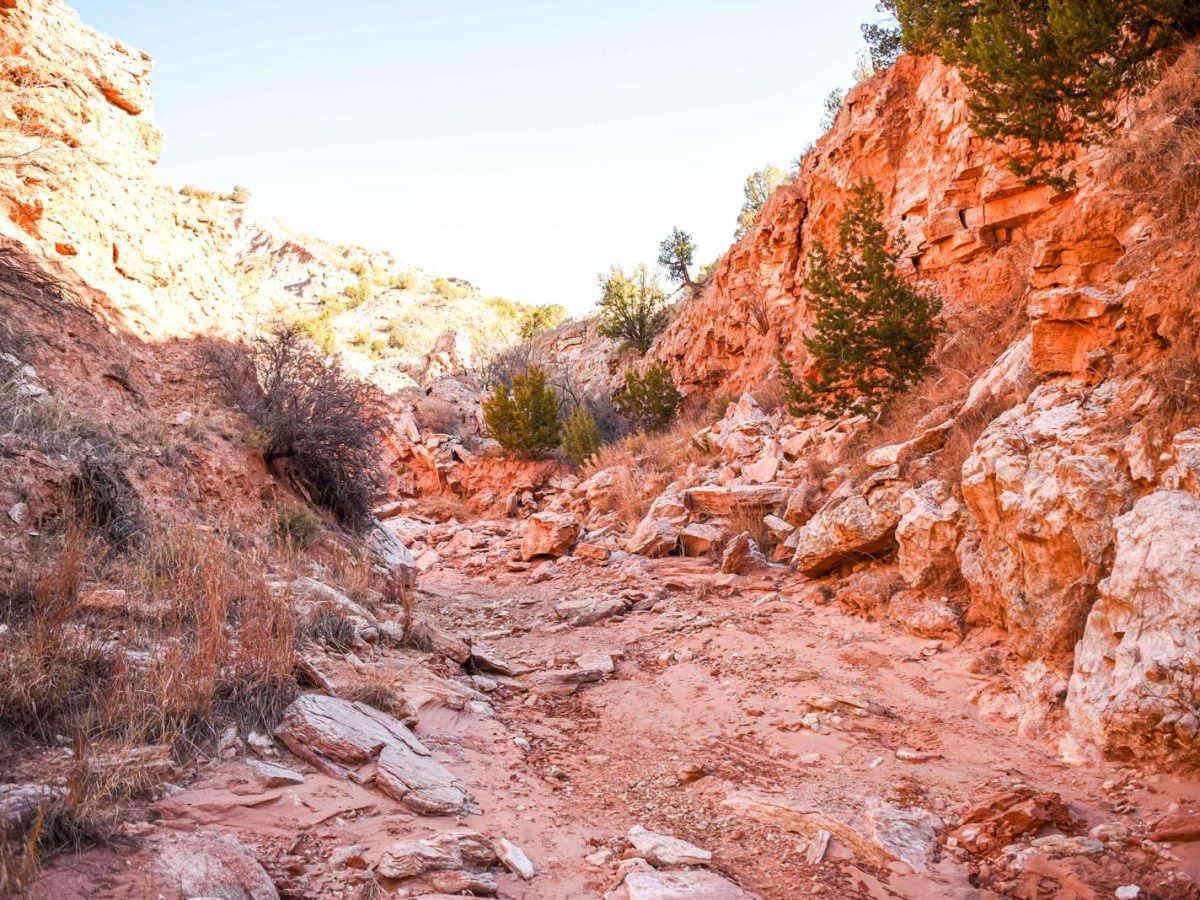 Bergflow Section 1 photo 5