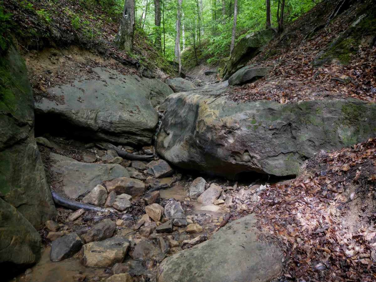 IB 94 trail photo