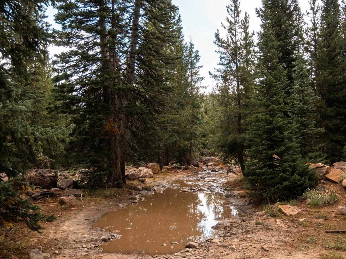 Castle Lake photo 2
