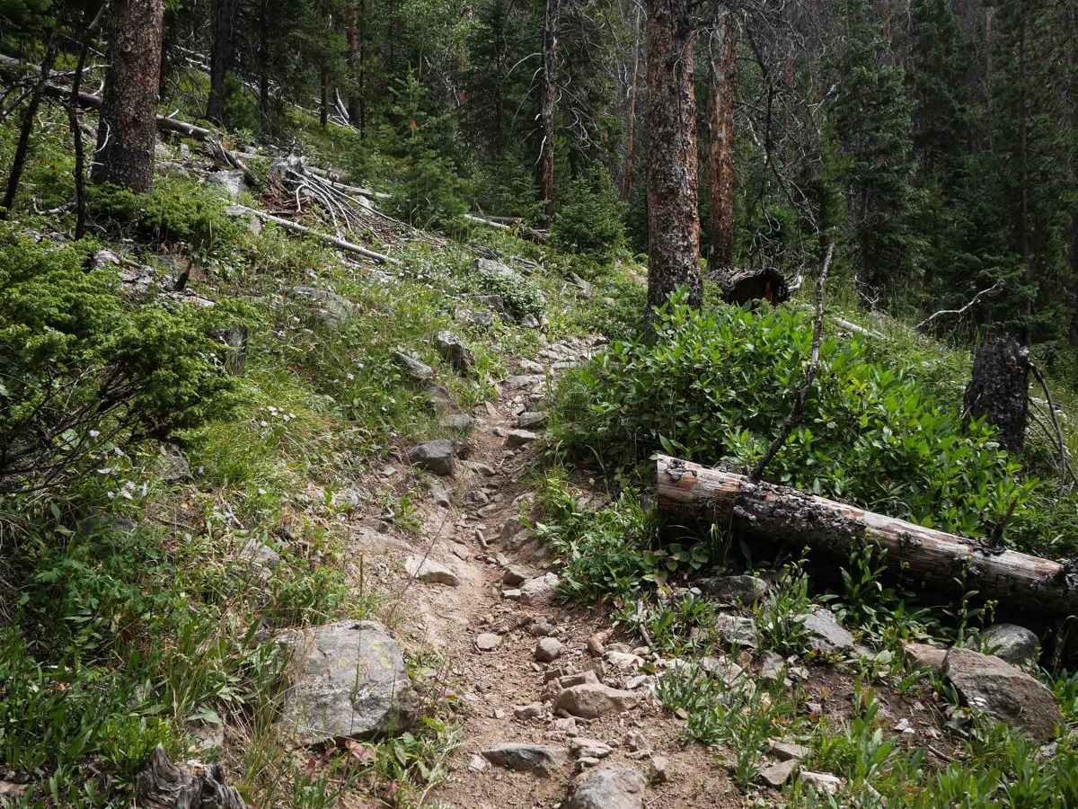 Never Summer Trail  photo 6