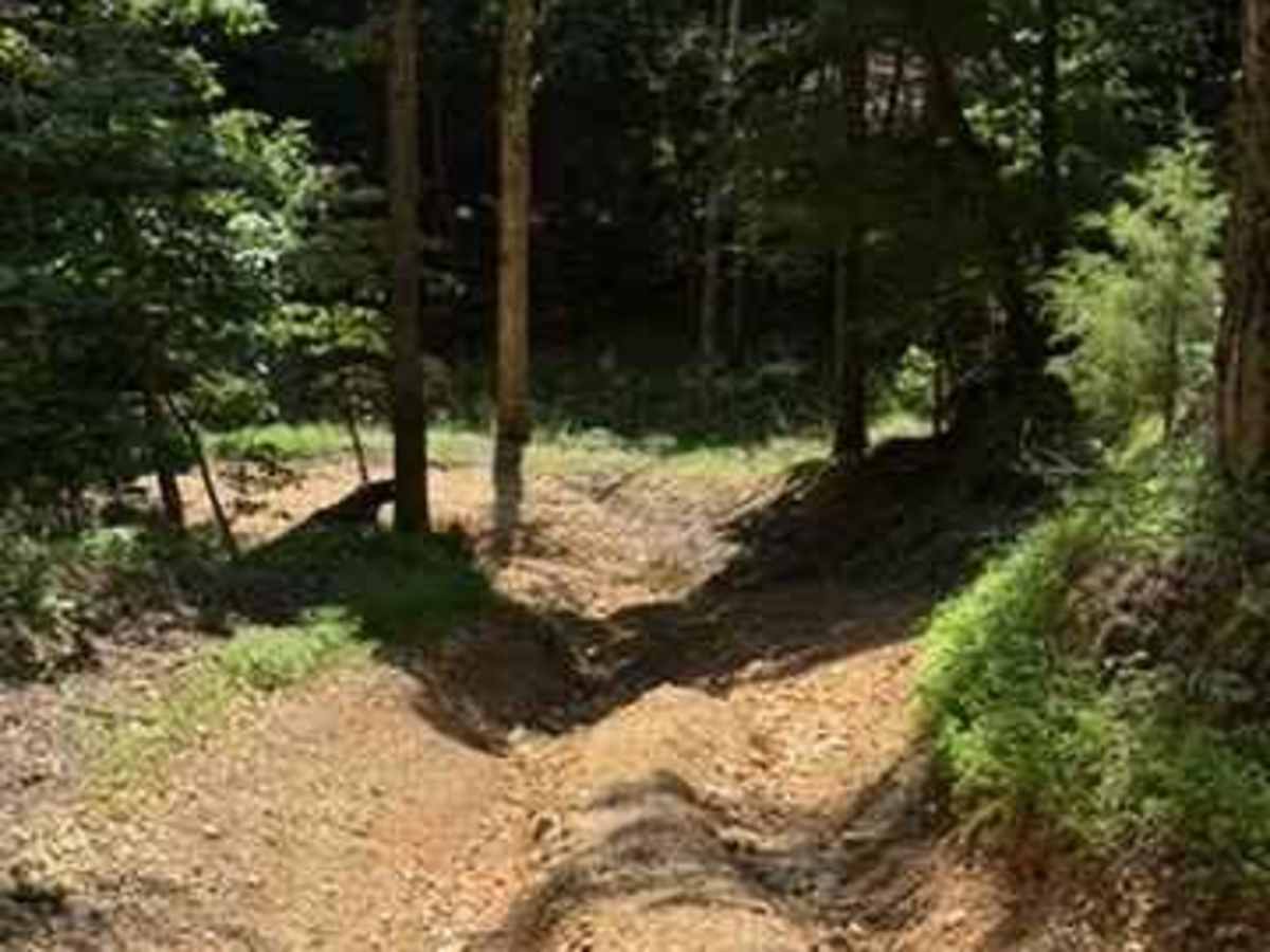 Alli's Trail photo 5