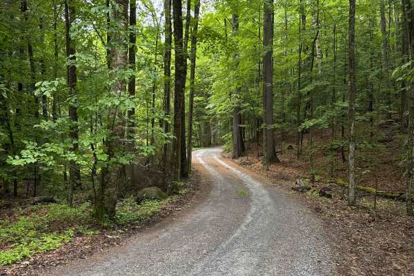Dacy Clearing Road