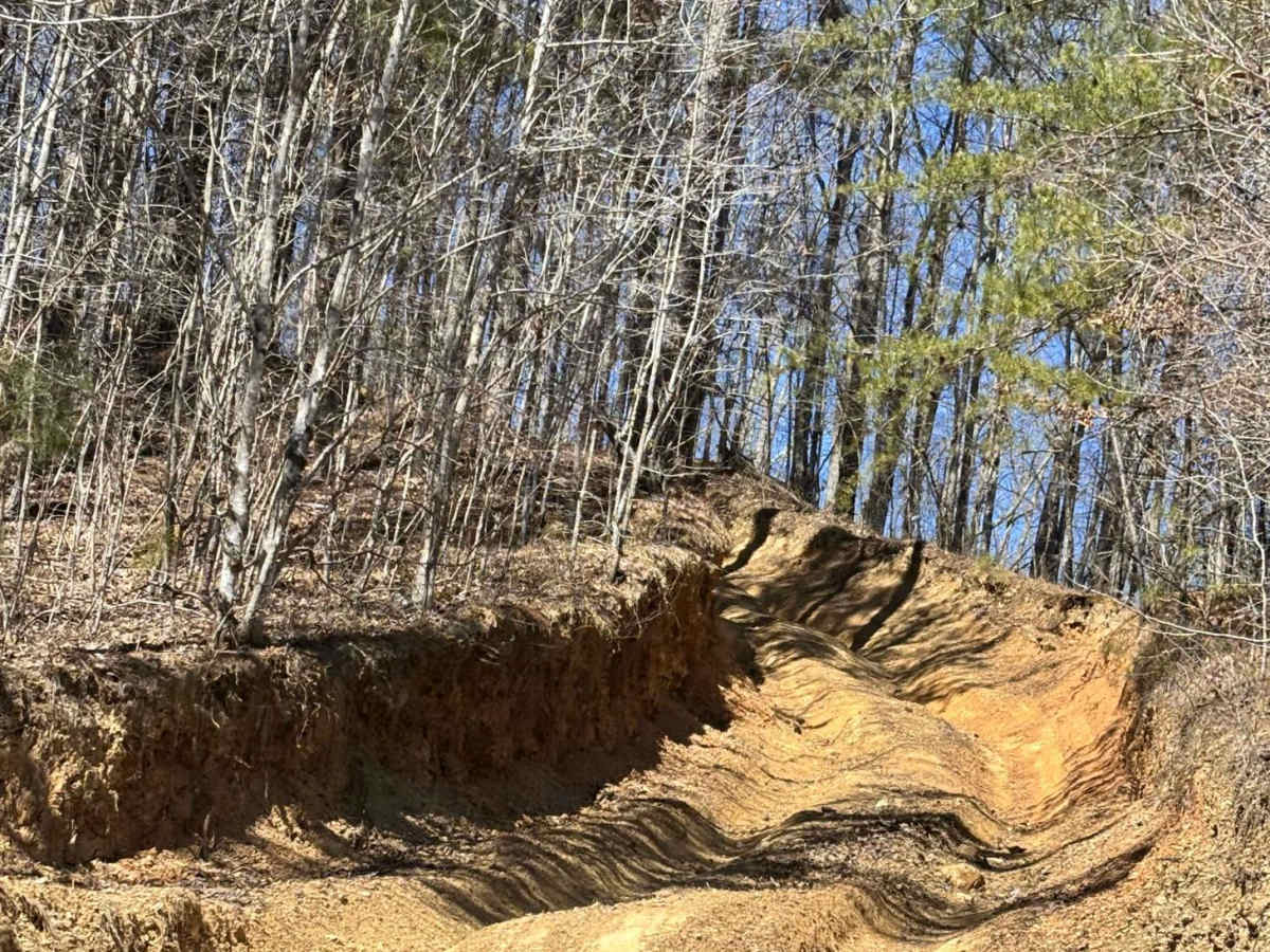 Turkey Hill trail photo