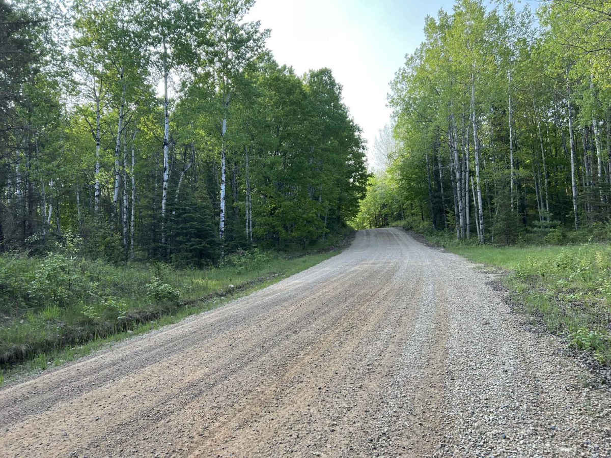 Calumet Mine Road Trail A photo 5