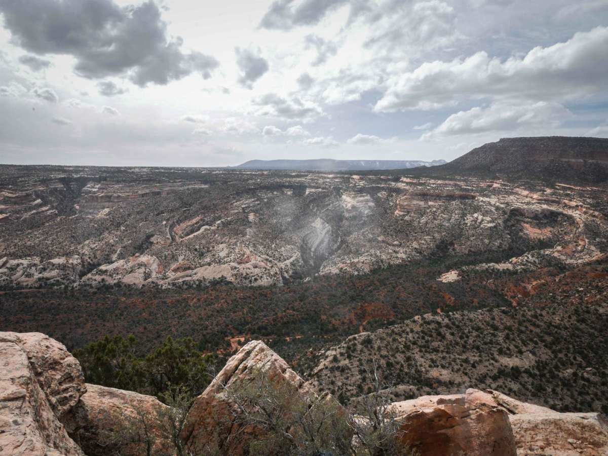 Comb Ridge View photo 5