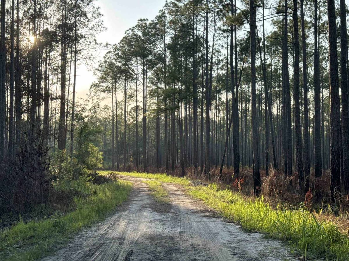 Nick's Camp Road photo 3
