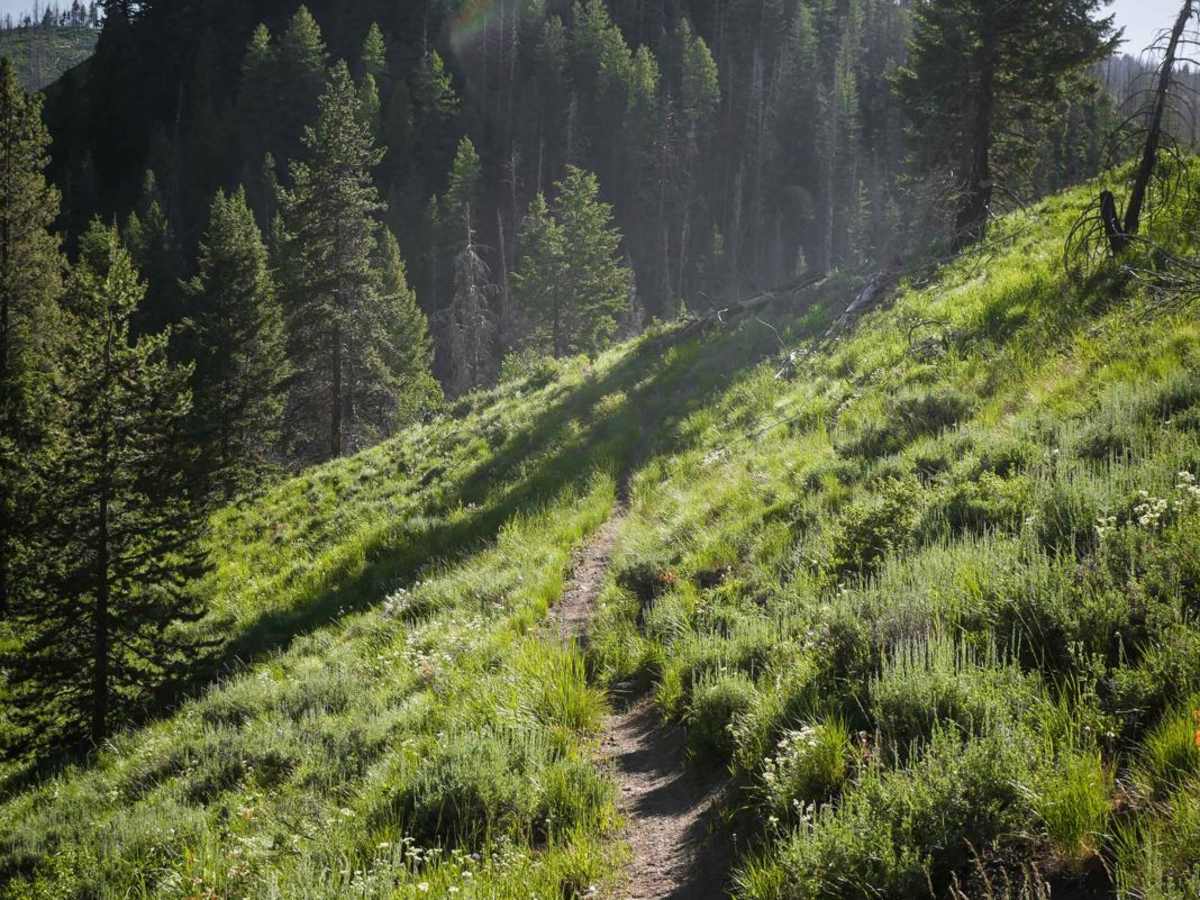 North Fork Deer Creek photo 4