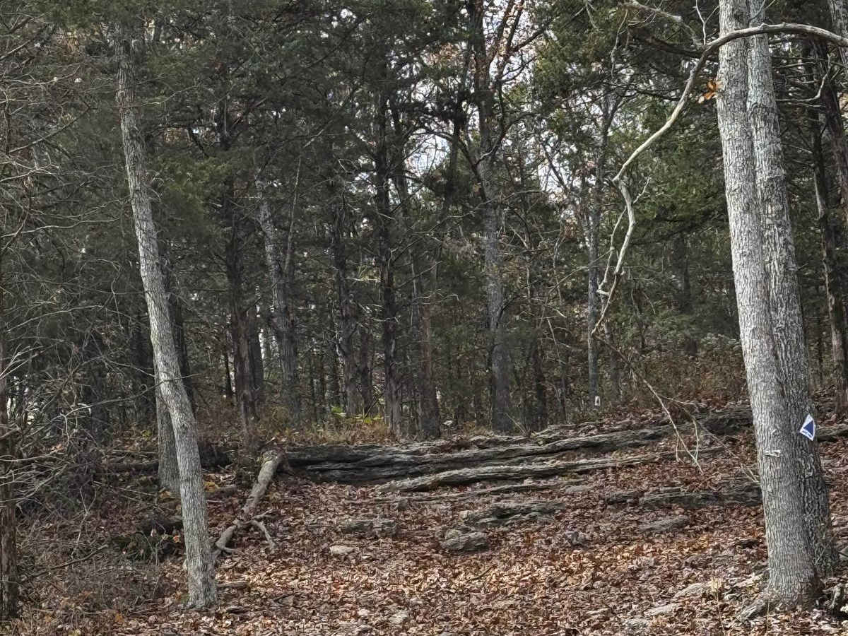XJ killer trail photo